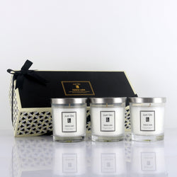 Just Glo 3 pcs Candle Set 110 French Linen